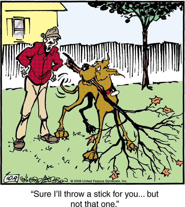 marmaduke
